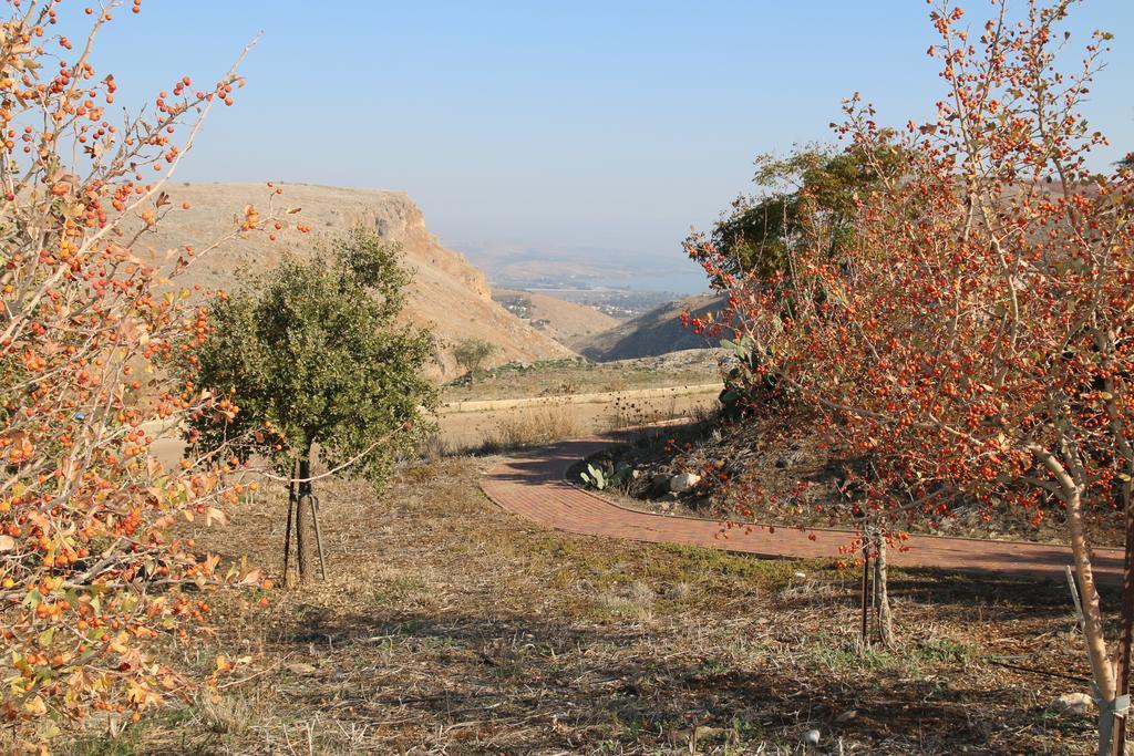 Penzion Switzerland In The Arbel Exteriér fotografie